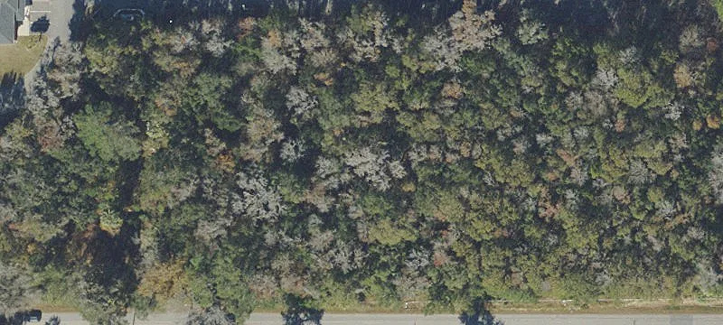 Commercial Land Parcel in PDRO