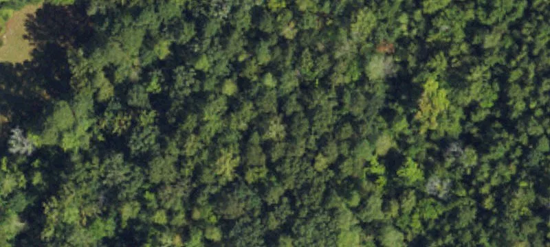 Land-Locked Parcel Assembly