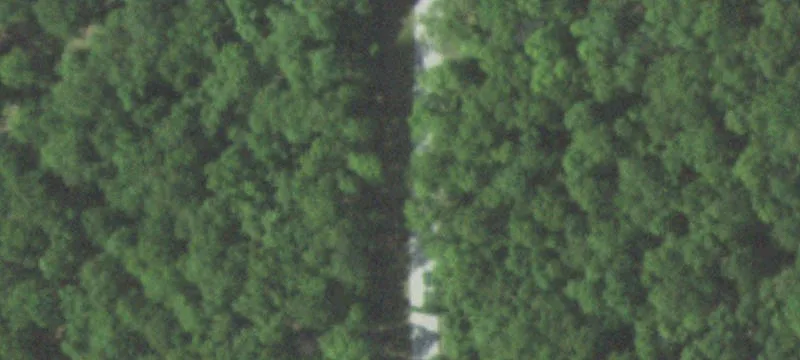 Wooded Hunting Tract with Shop
