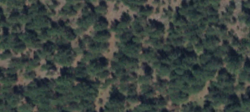 Mountain Stream Hunting and Home Land