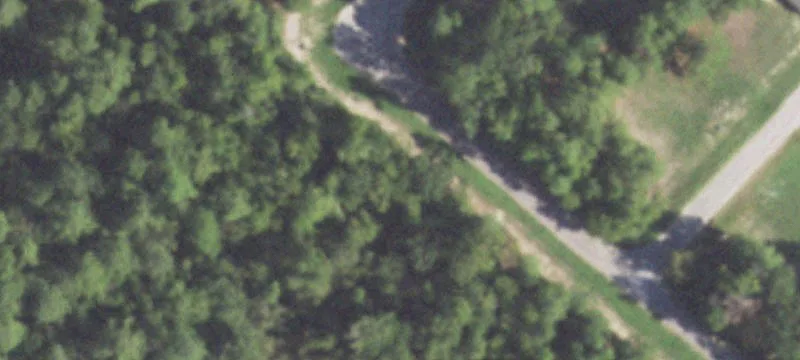 Partly Cleared Home Lot