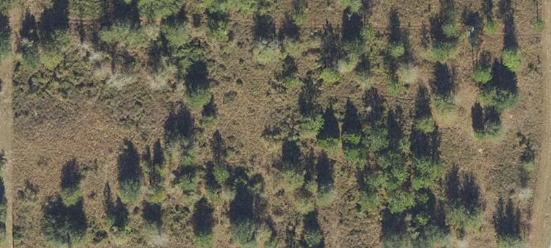 Rural Corner Homesite Lot