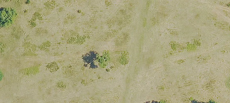 Working Ranch with Loading Chute