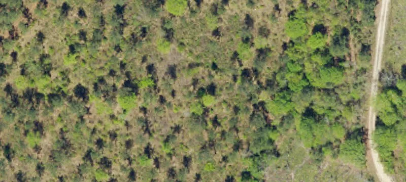 Wooded Residential Lot