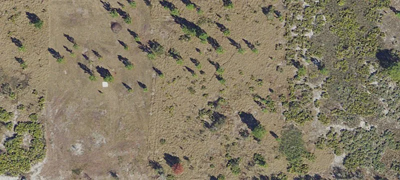 Estate Residential Lot for Development