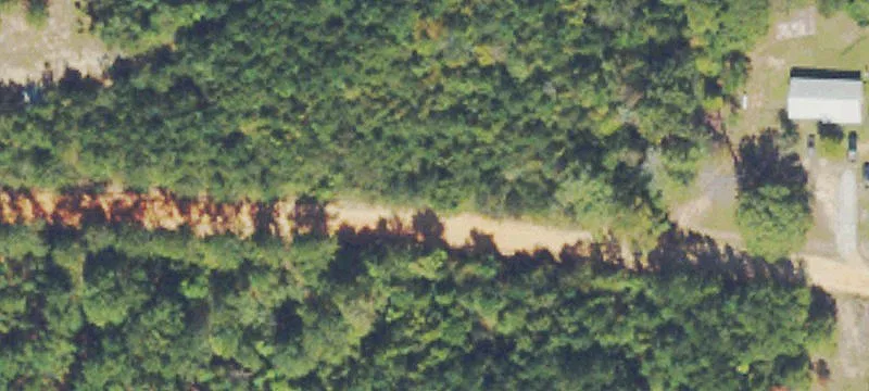 Recreational Hunting Tract with Timber Income