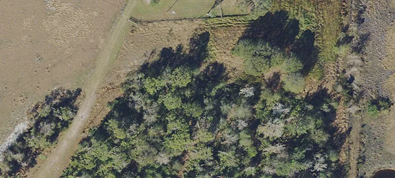 Acreage Land with Mature Trees