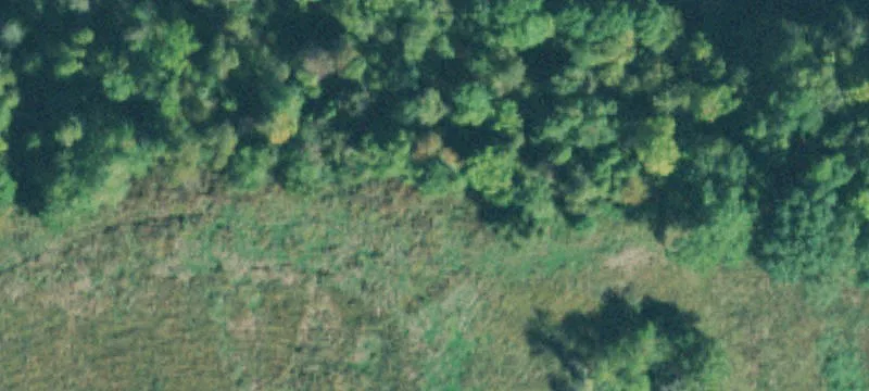 Deer Hunting Land with Stream