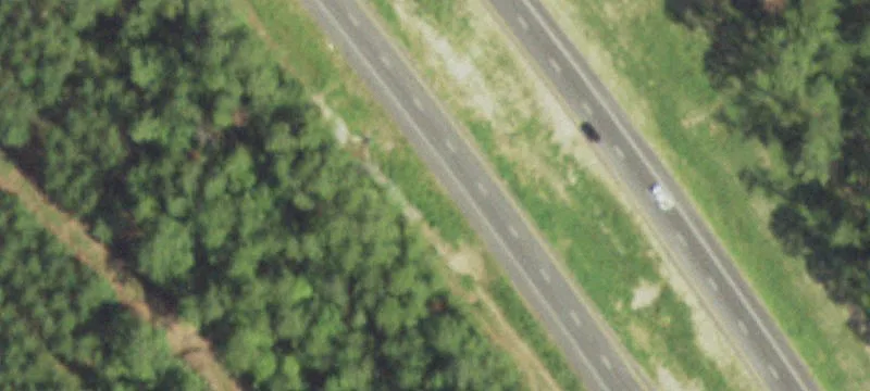 Timber Recreation Tract with Trails