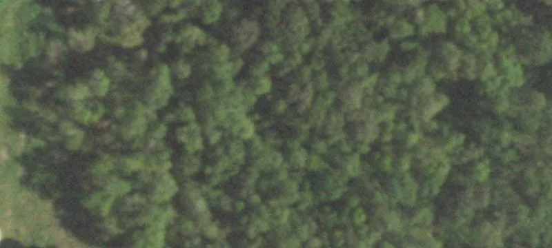 Flat Farmland Tract with Pond