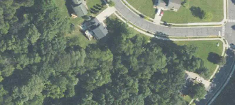 Wooded Walk-Out Home Lot