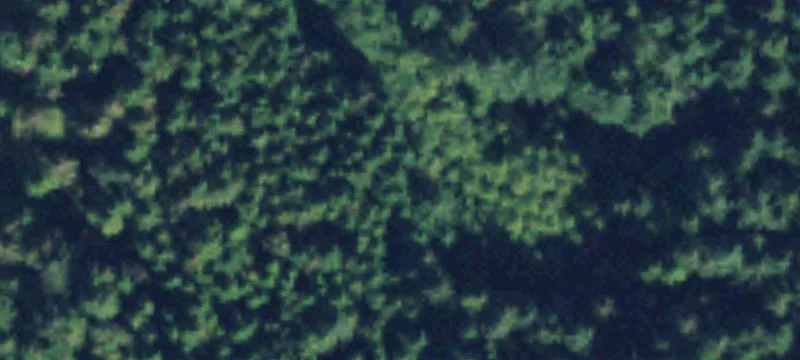 Residential Land Parcel with Timber