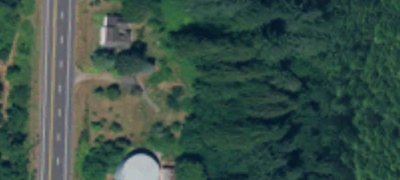 Acreage Building Lot with Tree Cover