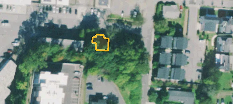 Three Contiguous Level Lots
