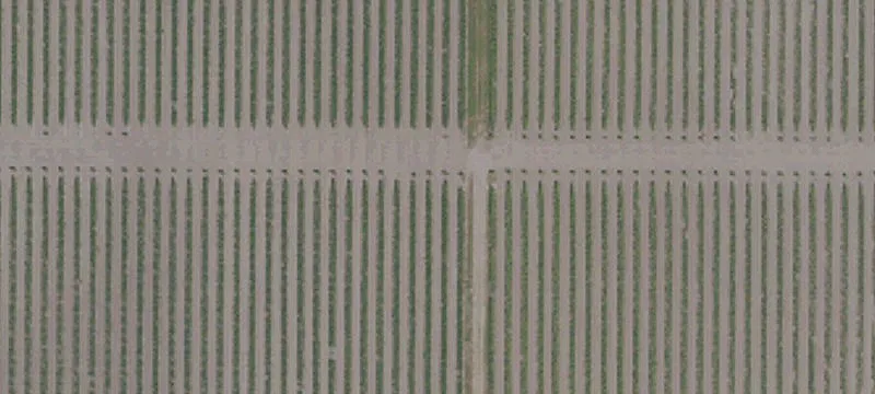 Easy-Access Farmland Parcel