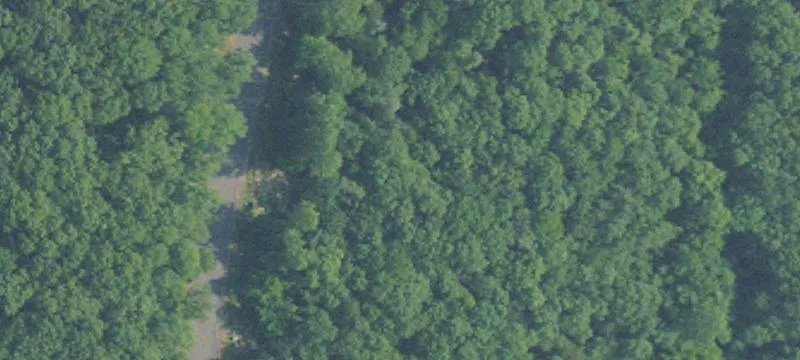 Custom Home Lot with Utilities