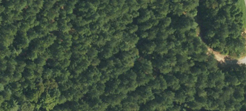 Riverfront Recreation and Timber Land