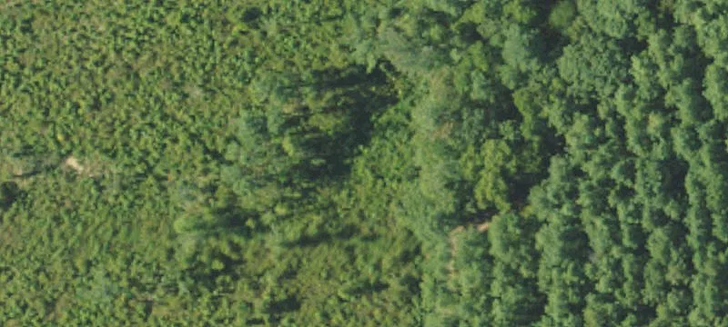 Hunting Land For Sale