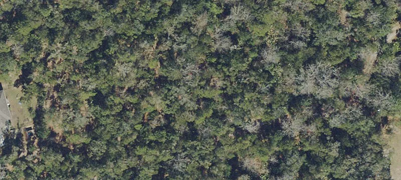 Coastal Marshfront Land Parcel