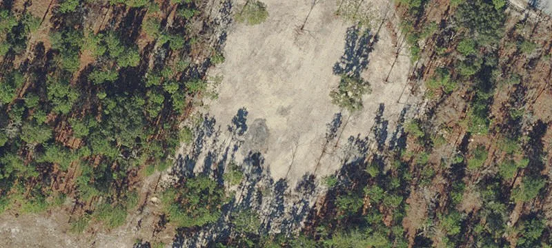 Cleared Horse-Friendly Gated Lot