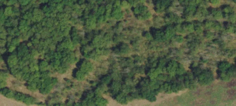 Agricultural Land Parcel