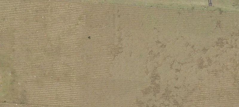 Cleared Land with Metal Workshop