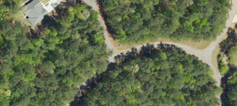Wooded Residential Buildable Lot