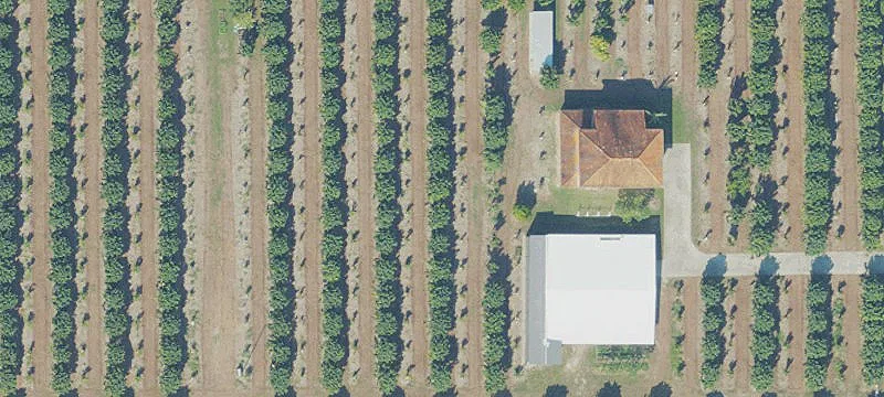 Fully Irrigated Agricultural Grove Land