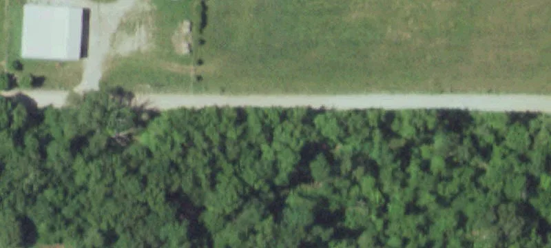 High-Productivity Cattle Farm Property