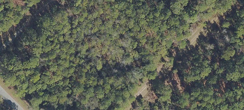 Wooded Residential Land Parcel