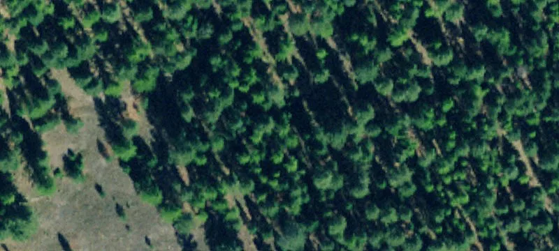 Acreage Land with Multiple Building Sites