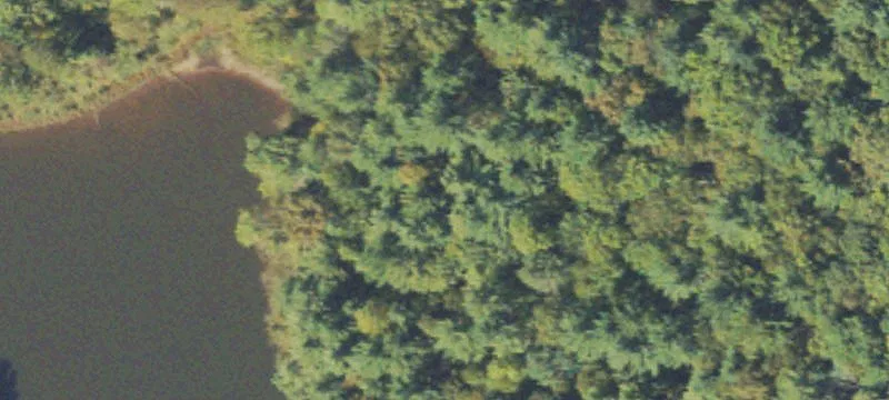 Build-Ready Mountain Homesite