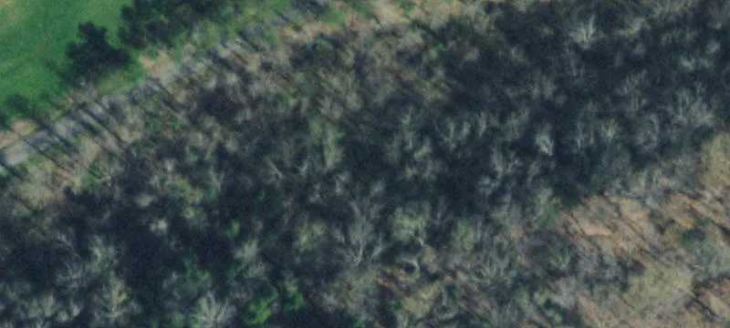 Unrestricted Mountain Land with Creek