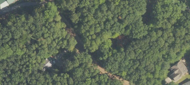 Wooded Walk-Out Building Site