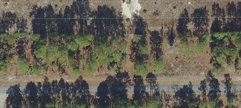 Residential Home Lot