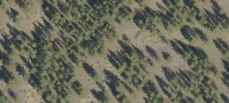 Waterfront Land Tract