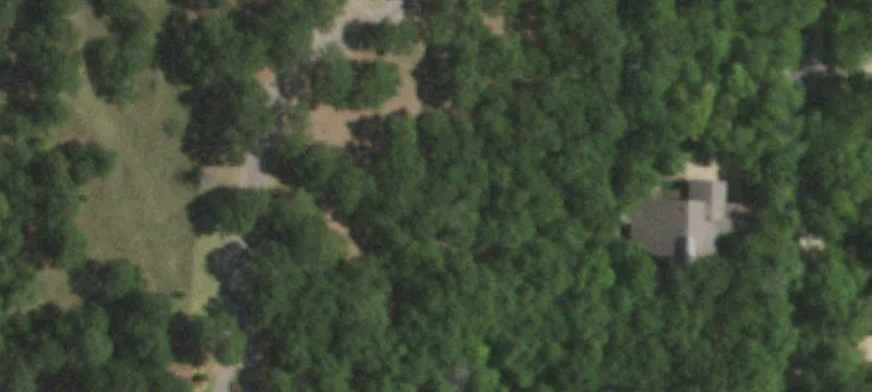 Heavily Treed Residential Building Lot