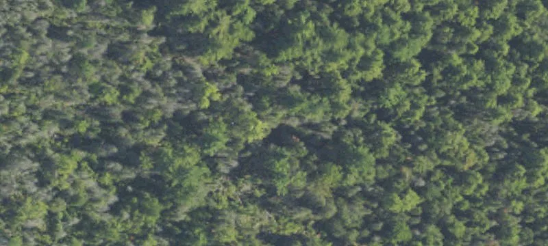 Lakefront Buildable Land Parcel
