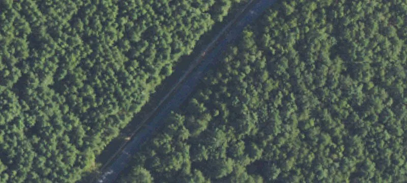 Wooded Home Lot with Fixer-Upper