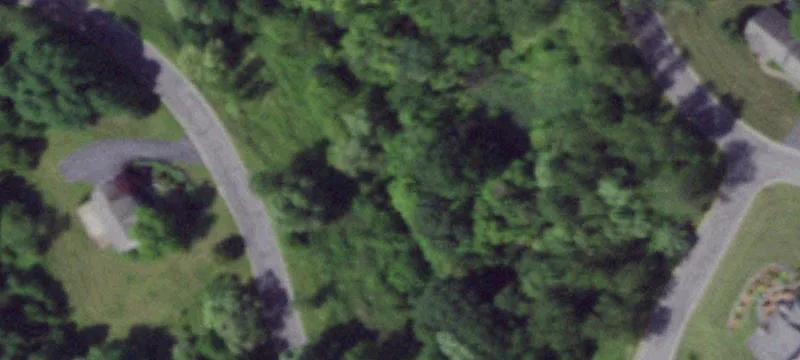 Wooded Building Lot
