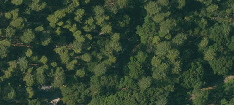 Residential Land Parcel in Mountain Community
