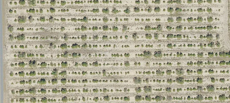Commercial-Industrial Land Parcel