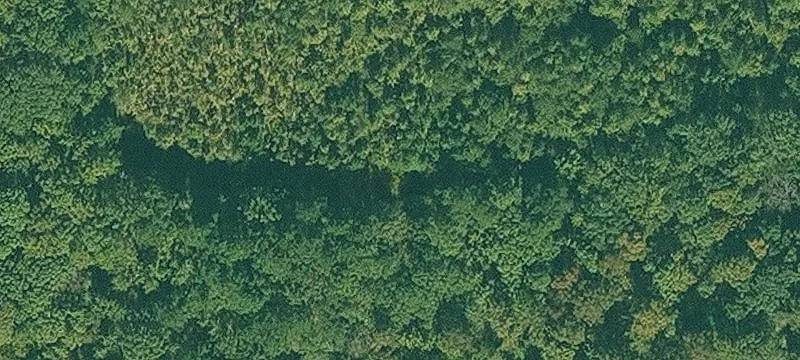 Waterfront Hunting and Timber Land