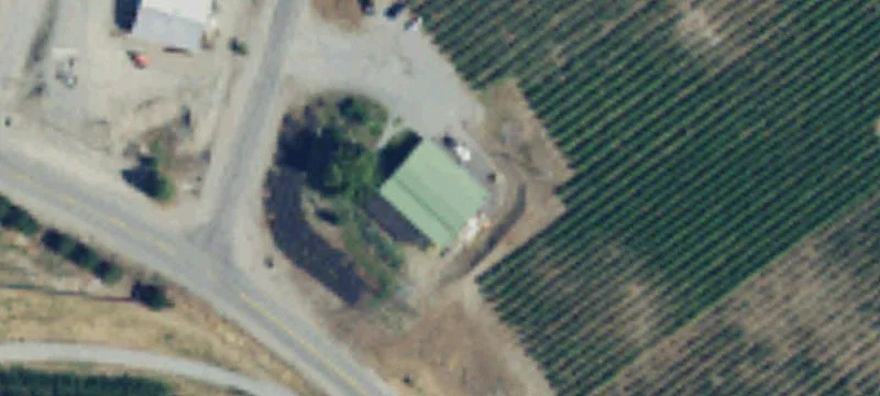 Turnkey Winery Estate with Vineyards