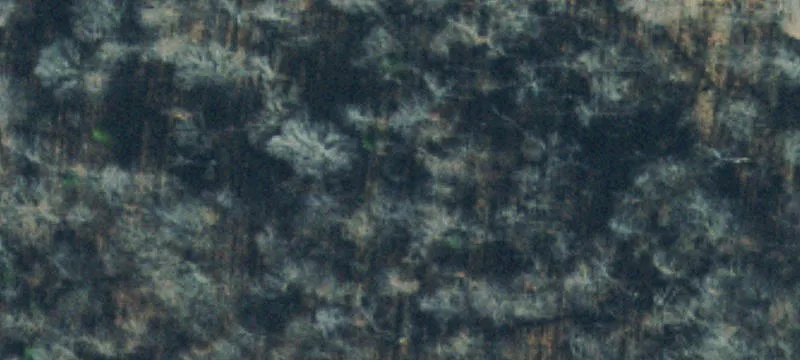 Recreational Farmland Tract