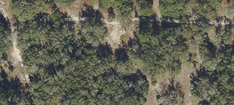 Buildable Private Home Lot