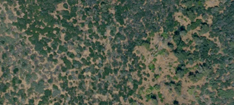 Vineyard Acreage with Residence