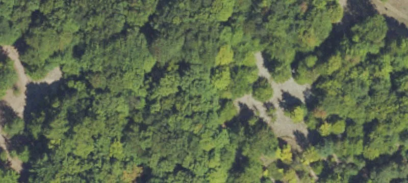 Wooded Land with Pole Barn