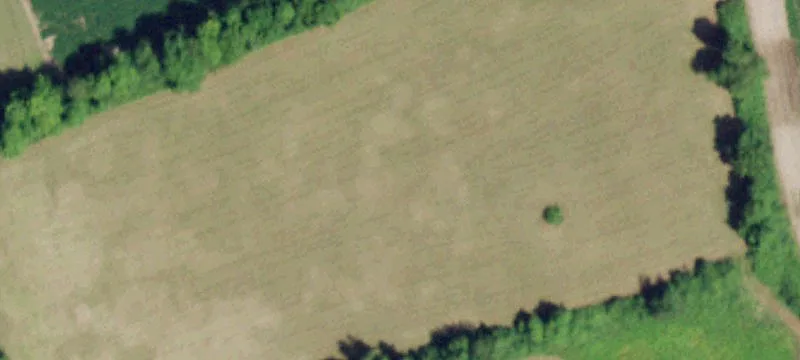 Farmland with Mountain Views