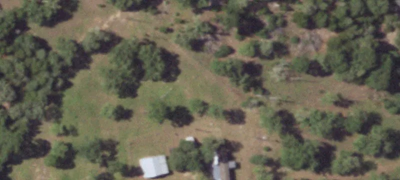 Wooded Ranch with Two Ponds